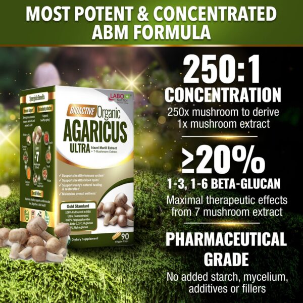 Etiqueta frontal suplementaria extracto hongos LABO Nutrition 7 hongos