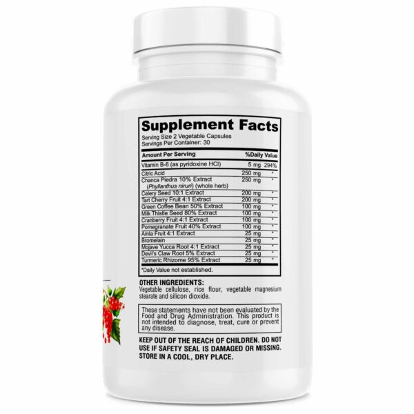 Version 1.0.0 Etiqueta suplemento Genius Herbals para ácido úrico y riñón