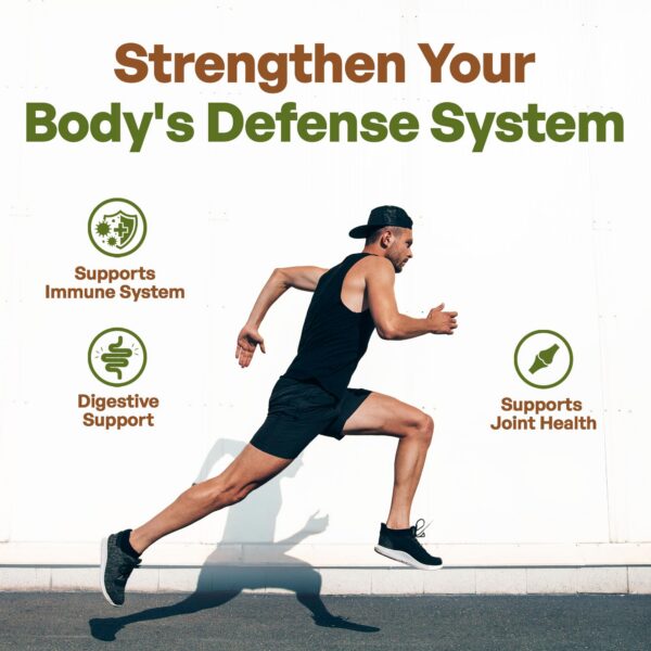 Version 1.0.0 Etiqueta del suplemento Go Nutra polvo uña de gato