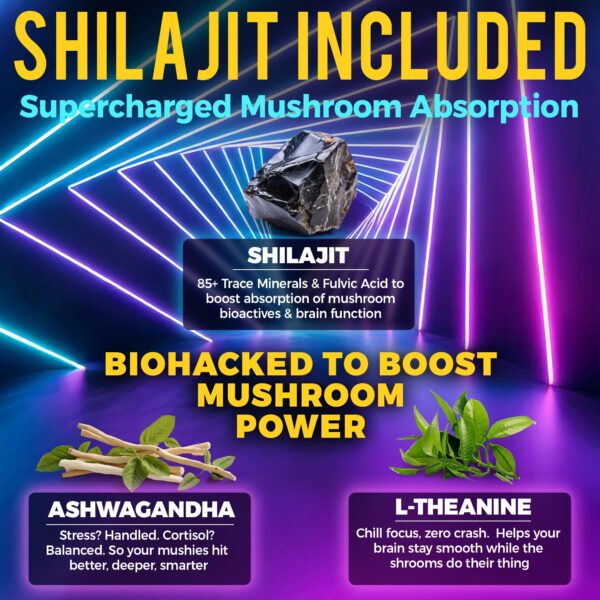 Etiqueta del suplemento gomitas con ingredientes naturales