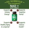 Version 1.0.0 Etiqueta suplemento NAD+ Peak Performance