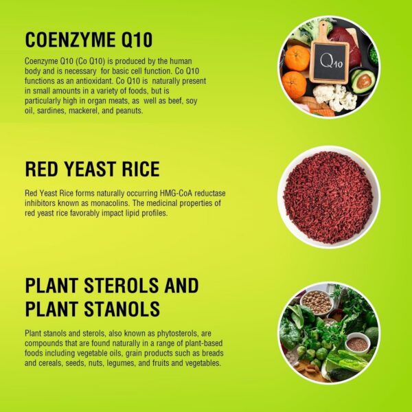 Version 1.0.0 Etiqueta del suplemento natural CoQ10 New Health Plus