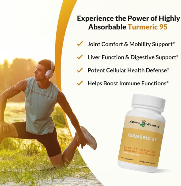 Etiqueta suplemento Natural Wellness cúrcuma 95