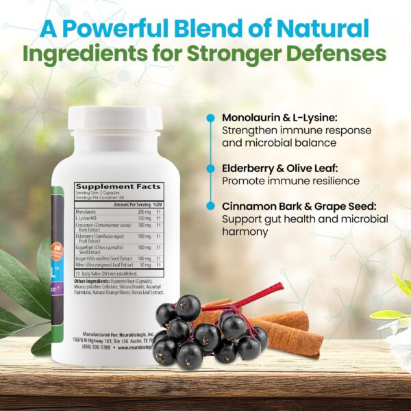 Version 1.0.0 Etiqueta suplemento Neuro Immune Infection Control ingredientes naturales