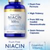 Etiqueta de suplemento de niacina sin rubor 500mg Carlyle