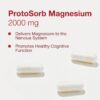 Etiqueta del suplemento Protocol Magtein con ingredientes y dosis