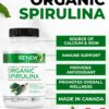 Etiqueta de suplemento Renew Actives Spirulina