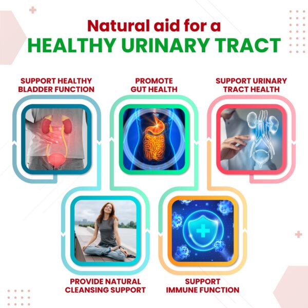 Version 1.0.0 Etiqueta suplemento VITAL HERBAL D-mannosa liposomal