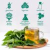 Etiqueta Swisse Saw Palmetto salud prostática natural
