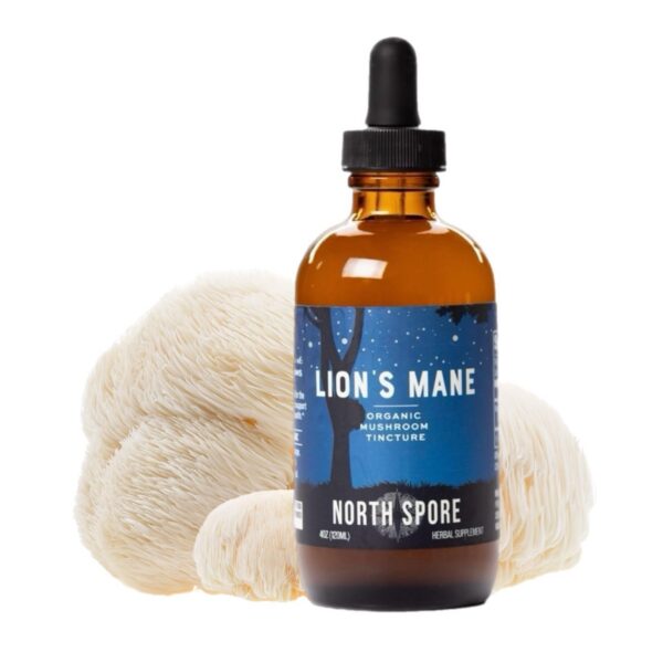 Etiqueta de tintura melena de león extracto cuerpo fructífero