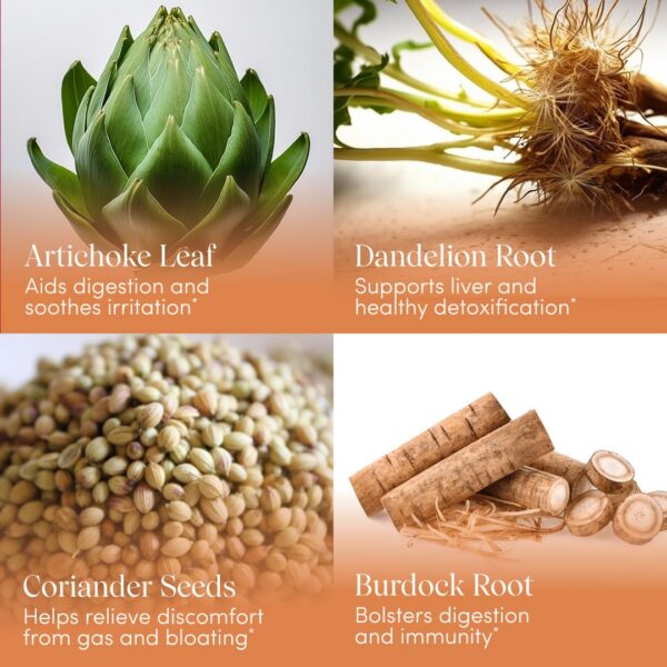 Etiqueta trasera y detalles Apothékary Never Been Bitter