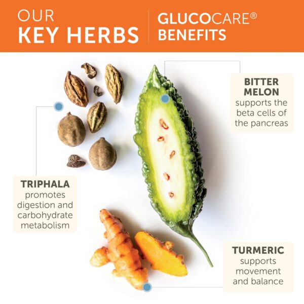 Botella de Himalaya GlucoCare mostrando etiqueta