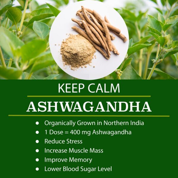 Etiquetas ingredientes cápsulas super greens FOLONA veganas