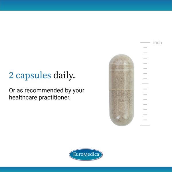 Contenido interior de la caja Adrenaplex