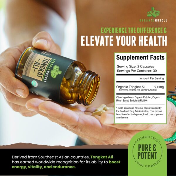 Raíz Eurycoma Longifolia en polvo