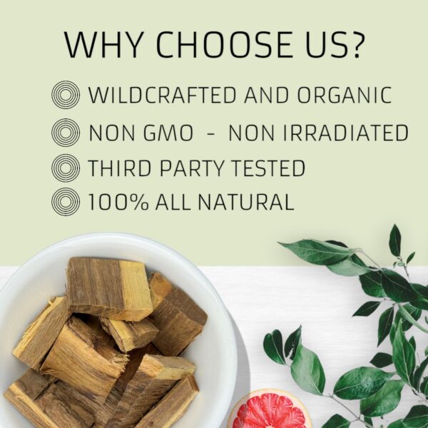 evergreen herbs palo azul plantas arbustos medicinales naturales