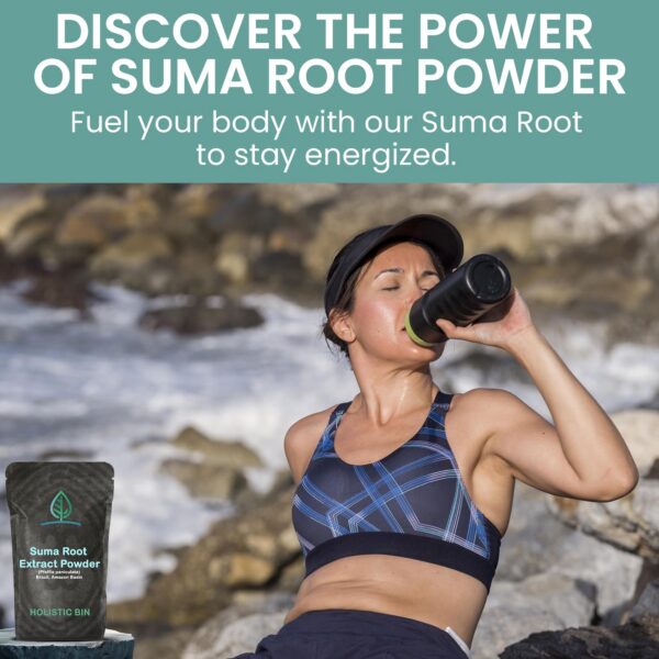 Extracto adaptógeno de raíz de Suma brasileña calidad superior