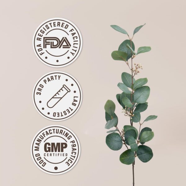 Extracto alfalfa alta potencia orgánico certificado USDA