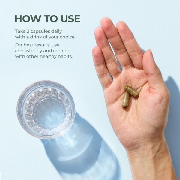 Extracto de Bilberry en frasco