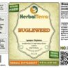 Extracto Bugleweed orgánico etiquetas botella