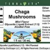 Extracto de Chaga en glicerina, sabor menta