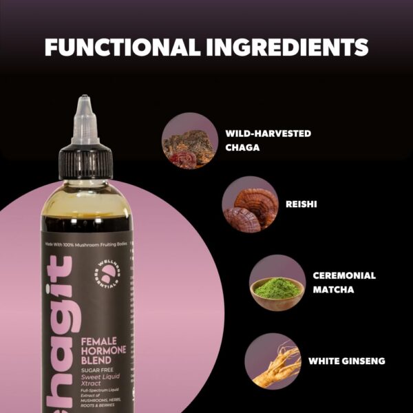 Version 1.0.0 Extracto Chagit SLX ingredientes naturales