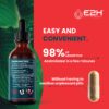 Extracto de champiñón con polisacáridos para energía y salud digestiva