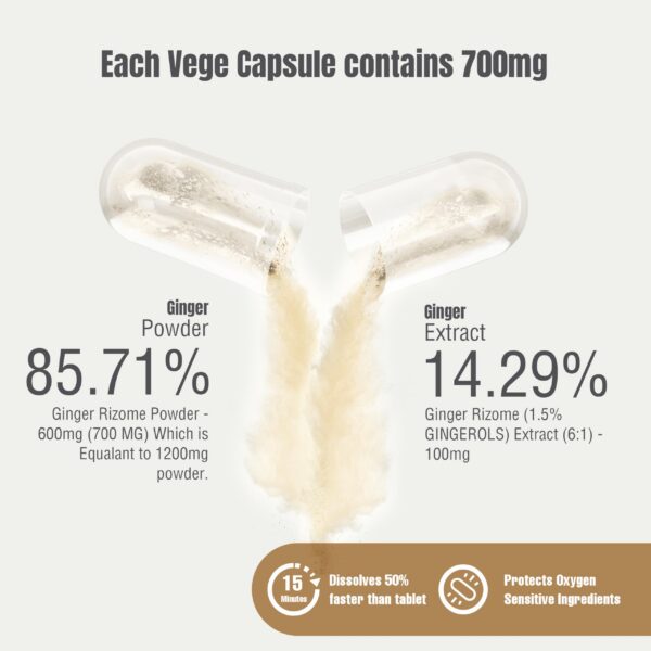 extracto concentrado jengibre en cápsulas veganas
