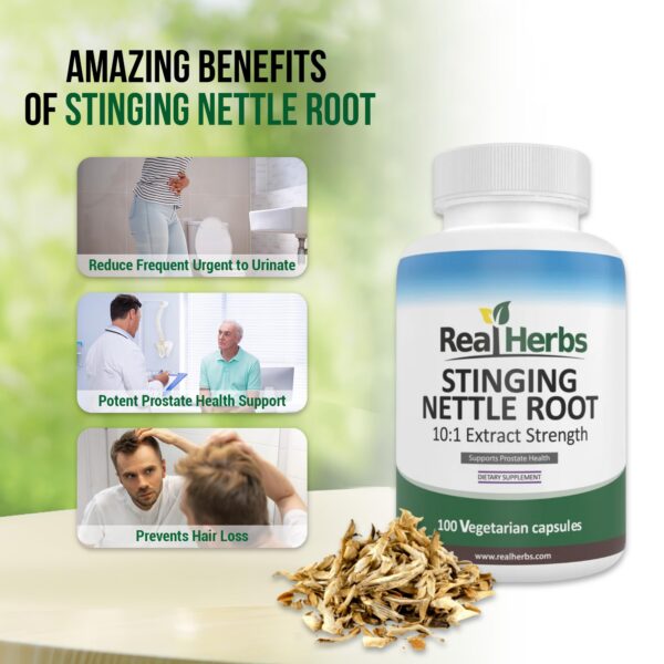 Extracto concentrado de ortiga Real Herbs en cápsulas para próstata sana
