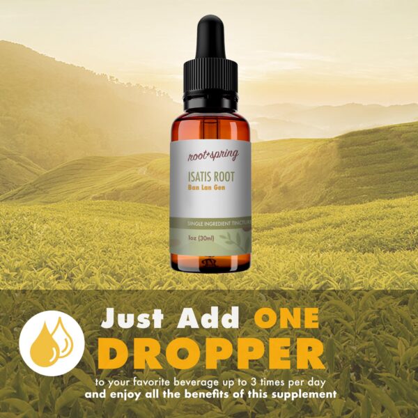 Extracto concentrado de raíz de isatis para inmunidad y salud