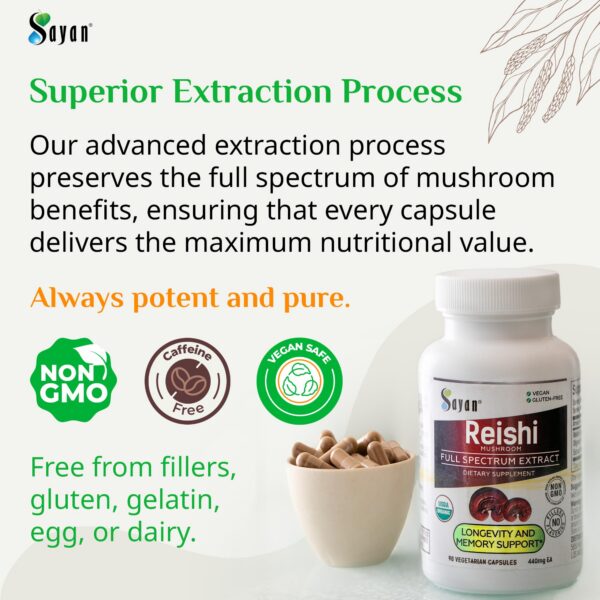 Extracto concentrado de Reishi cápsulas suplemento vitalidad