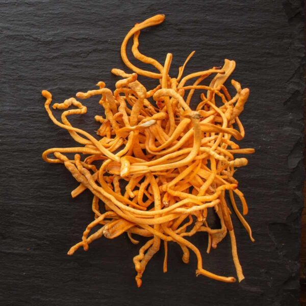 Extracto de Cordyceps de doble extracción vegano