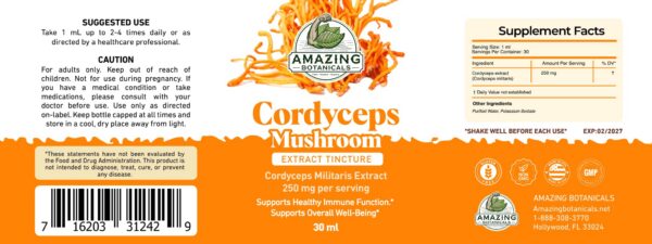 Extracto de Cordyceps líquido para energía y resistencia