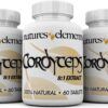 Extracto de cordyceps Natures Elements 1000mg