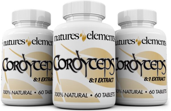 Extracto de cordyceps Natures Elements 1000mg