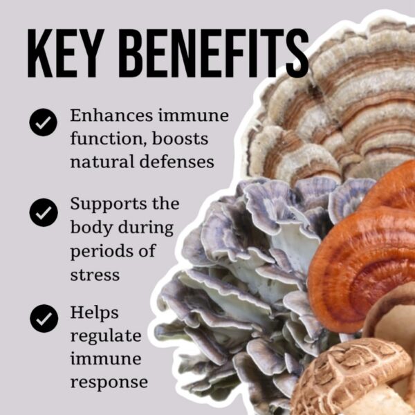 Extracto doble hongos North Spore tintura orgánica para salud