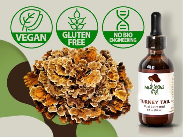 Version 1.0.0 Extracto dual de Cola de Pavo para máximos beneficios