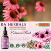 Extracto echinacea orgánica Ra Herbals para salud inmune