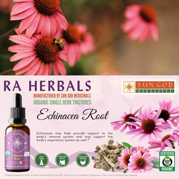 Extracto echinacea orgánica Ra Herbals para salud inmune
