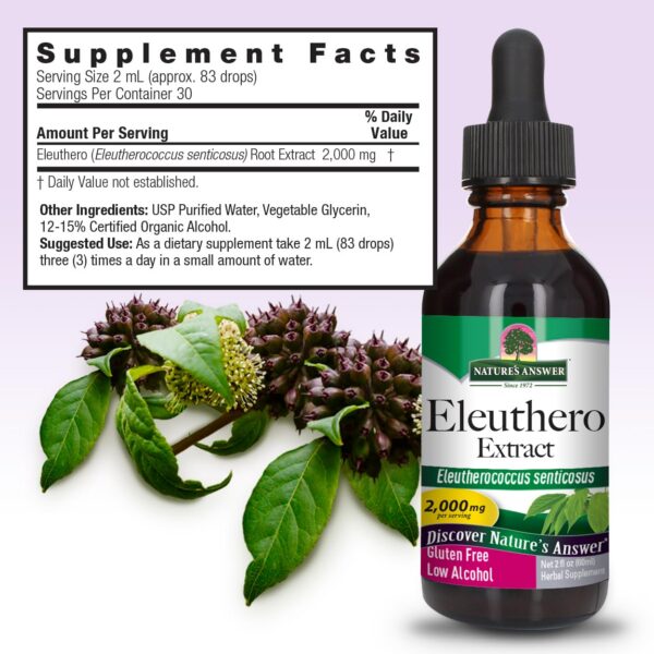Extracto Eleuthero concentrado en botella de 2 oz