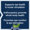 Extracto estandarizado de arándano Life Extension para ojos