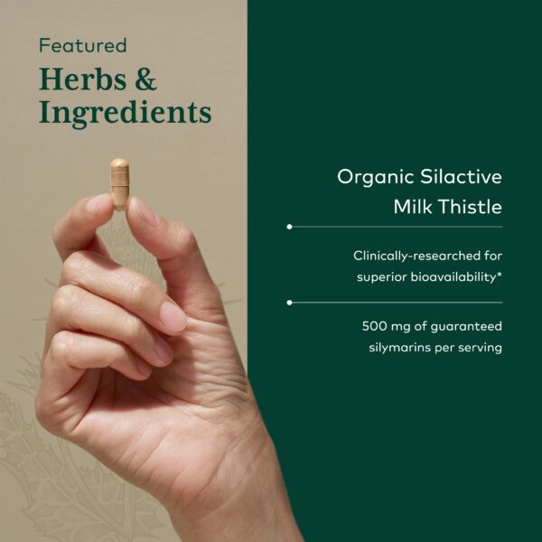Extracto de fruto de cardo mariano Silactive Gaia Herbs