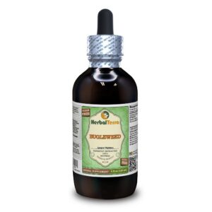 Extracto glicerito orgánico de Bugleweed botella HerbalTerra 120ml