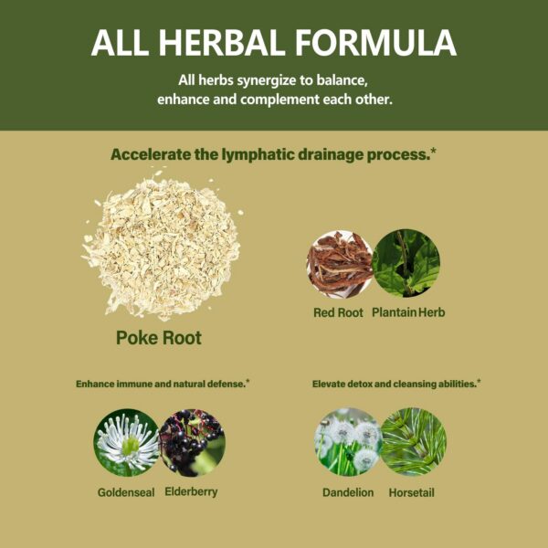 Version 1.0.0 Extracto goldenseal para soporte inmune en gotas Eubrition 2oz