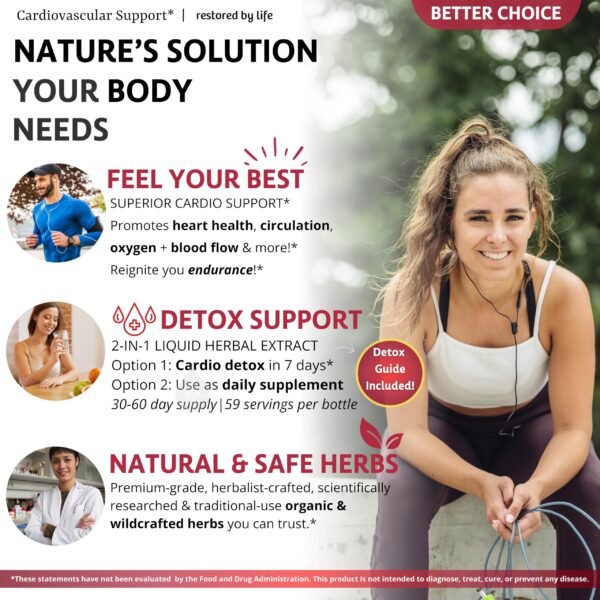 Extracto herbal glicerita sin alcohol para circulación saludable