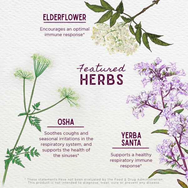 Extracto herbal líquido para niños WishGarden Kick-It Immune