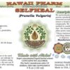 Botella de extracto Selfheal orgánico Hawaii Pharm