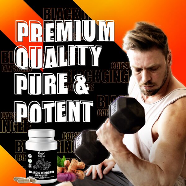 Version 1.0.0 extracto de jengibre negro kaempferia parviflora en cápsulas
