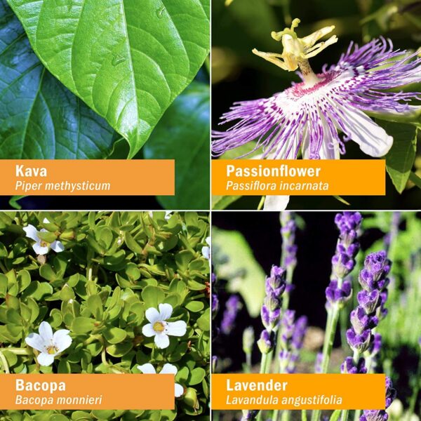 Extracto de Kava Herb Pharm Mind Soother botella de 4 oz