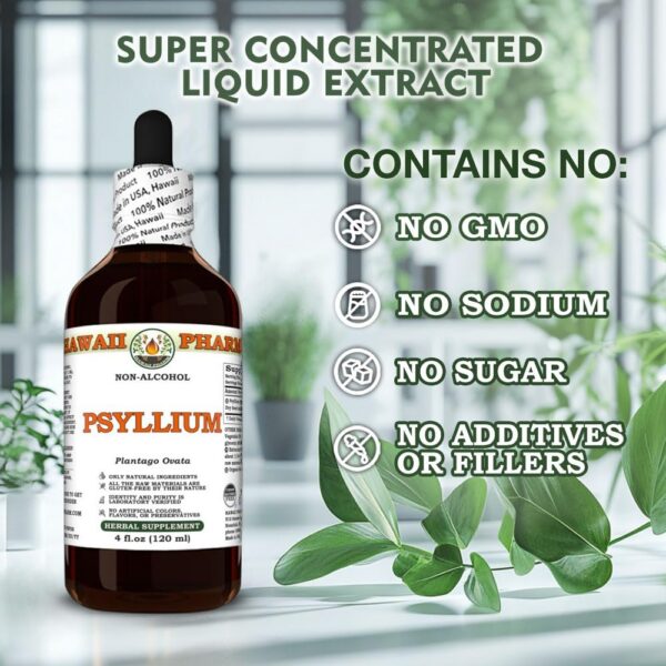 Version 1.0.0 Extracto para limpieza natural psyllium planta